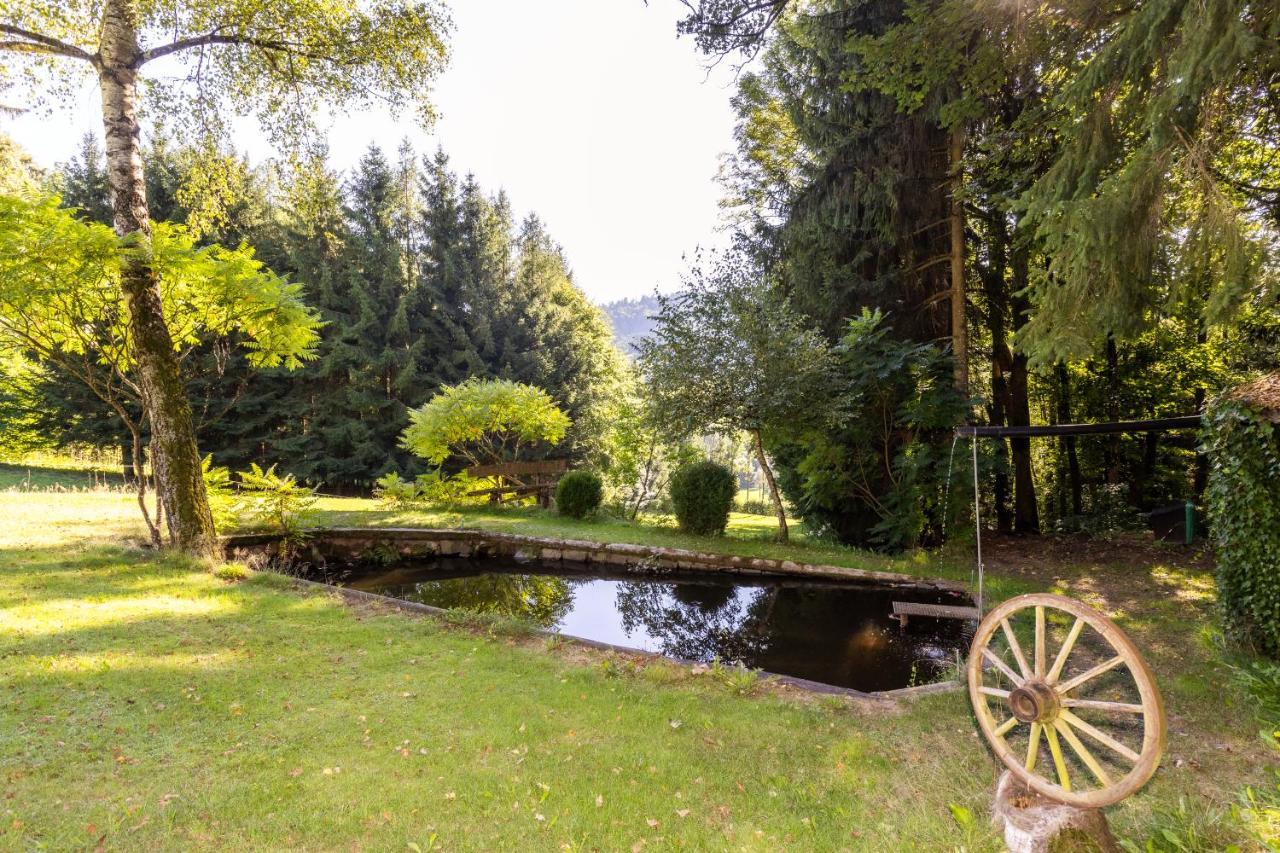 Ferienwohnung Huegelland Peilstein im Mühlviertel エクステリア 写真